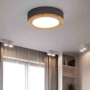 Накладной светильник Imperiumloft Wudda Серый WUDDA01 в Снежинске - snezhinsk.mebel24.online | фото 4