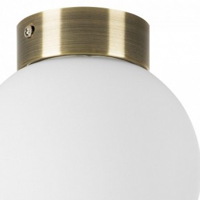 Накладной светильник Lightstar Globo 812011 в Снежинске - snezhinsk.mebel24.online | фото 3