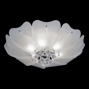 Накладной светильник Lightstar Lobo 804020 в Снежинске - snezhinsk.mebel24.online | фото 2