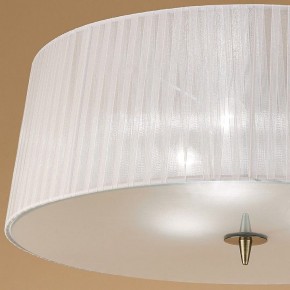 Накладной светильник Mantra Loewe 4740 в Снежинске - snezhinsk.mebel24.online | фото 3
