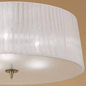 Накладной светильник Mantra Loewe 4740 в Снежинске - snezhinsk.mebel24.online | фото 4