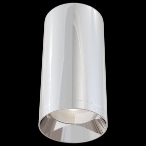 Накладной светильник Maytoni Focus C010CL-01CH в Снежинске - snezhinsk.mebel24.online | фото 2