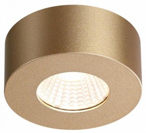 Накладной светильник Odeon Light Bene 4284/7CL в Снежинске - snezhinsk.mebel24.online | фото 4