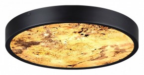 Накладной светильник Odeon Light Bergi 5064/24L в Снежинске - snezhinsk.mebel24.online | фото 5