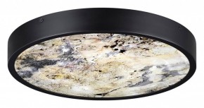 Накладной светильник Odeon Light Bergi 5064/30L в Снежинске - snezhinsk.mebel24.online | фото 4