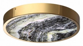 Накладной светильник Odeon Light Bergi 5079/30L в Снежинске - snezhinsk.mebel24.online | фото 3