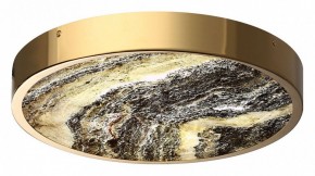 Накладной светильник Odeon Light Bergi 5079/30L в Снежинске - snezhinsk.mebel24.online | фото 6