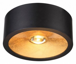 Накладной светильник Odeon Light Glasgow 3878/1CL в Снежинске - snezhinsk.mebel24.online | фото 2