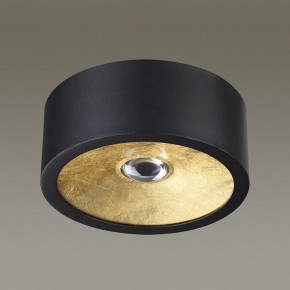 Накладной светильник Odeon Light Glasgow 3878/1CL в Снежинске - snezhinsk.mebel24.online | фото 3