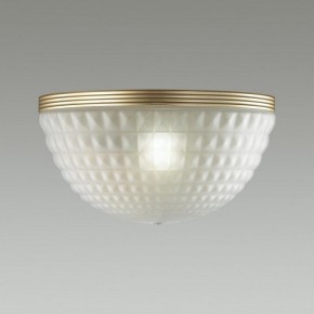 Накладной светильник Odeon Light Malaga 4936/1W в Снежинске - snezhinsk.mebel24.online | фото 2