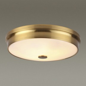 Накладной светильник Odeon Light Marsei 4824/4C в Снежинске - snezhinsk.mebel24.online | фото 2
