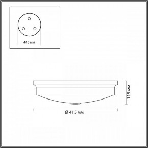 Накладной светильник Odeon Light Marsei 4824/4C в Снежинске - snezhinsk.mebel24.online | фото 4