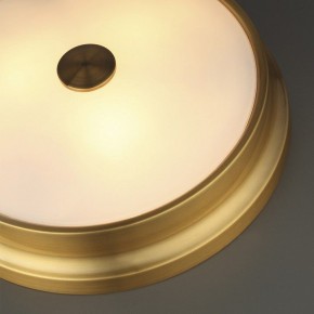 Накладной светильник Odeon Light Marsei 4824/4C в Снежинске - snezhinsk.mebel24.online | фото 5