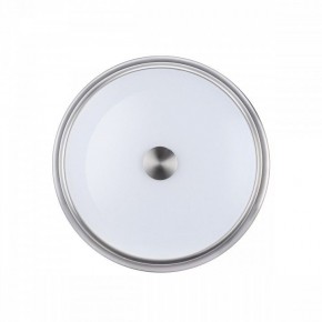 Накладной светильник Odeon Light Marsei 4825/3C в Снежинске - snezhinsk.mebel24.online | фото 2