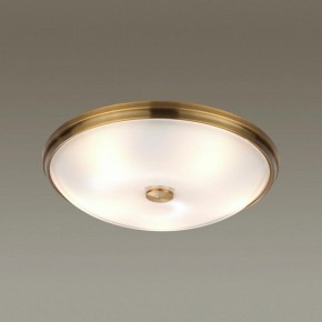 Накладной светильник Odeon Light Pelow 4956/5 в Снежинске - snezhinsk.mebel24.online | фото 2