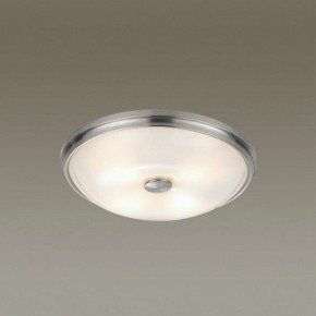 Накладной светильник Odeon Light Pelow 4957/4 в Снежинске - snezhinsk.mebel24.online | фото 2