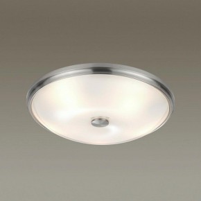 Накладной светильник Odeon Light Pelow 4957/5 в Снежинске - snezhinsk.mebel24.online | фото 2