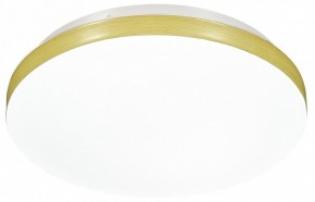 Накладной светильник Sonex Smalli 3066/AL в Снежинске - snezhinsk.mebel24.online | фото 4