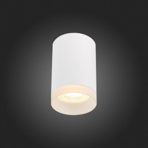 Накладной светильник ST-Luce ST100 ST100.502.01 в Снежинске - snezhinsk.mebel24.online | фото 4