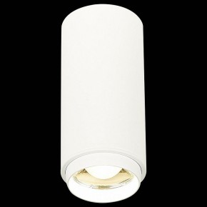 Накладной светильник ST-Luce Zoom ST600.542.10 в Снежинске - snezhinsk.mebel24.online | фото 3