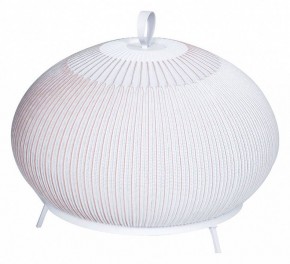 Настольная лампа декоративная Divinare Firefly 1808/33 TL-50 в Снежинске - snezhinsk.mebel24.online | фото