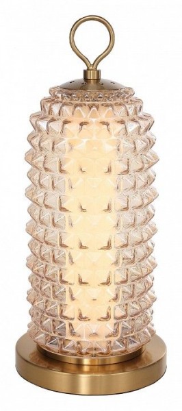 Настольная лампа декоративная ST-Luce SAGUARO SL6144.304.01 в Снежинске - snezhinsk.mebel24.online | фото 2