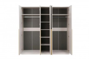 НИКОЛЬ 25 Шкаф 5-ти створчатый в Снежинске - snezhinsk.mebel24.online | фото 3