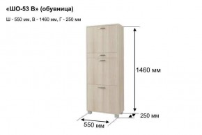 ШО-53 В тумба для обуви в Снежинске - snezhinsk.mebel24.online | фото 8