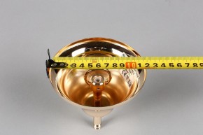 Подвесная люстра Aployt Daniele APL.701.03.12 в Снежинске - snezhinsk.mebel24.online | фото 6