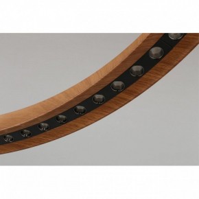 Подвесная люстра Aployt Justyna APL.787.03.75 в Снежинске - snezhinsk.mebel24.online | фото 10