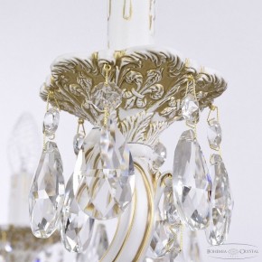 Подвесная люстра Bohemia Ivele Crystal AL7801 AL78101/10/250 A WMG в Снежинске - snezhinsk.mebel24.online | фото 7