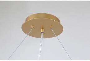 Подвесная люстра Favourite Ginkoa 4080-10P в Снежинске - snezhinsk.mebel24.online | фото 9