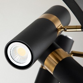 Подвесная люстра Favourite Light point 2997-9P в Снежинске - snezhinsk.mebel24.online | фото 5