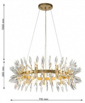 Подвесная люстра Favourite Rays 4058-14P в Снежинске - snezhinsk.mebel24.online | фото 7