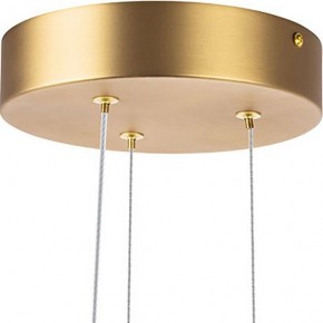 Подвесная люстра Lightstar Bergamo 745247 в Снежинске - snezhinsk.mebel24.online | фото 6
