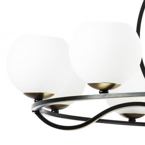 Подвесная люстра Lightstar Enna 762117 в Снежинске - snezhinsk.mebel24.online | фото 4