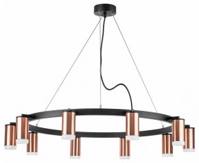 Подвесная люстра Lightstar Rullo LR0203000 в Снежинске - snezhinsk.mebel24.online | фото 2