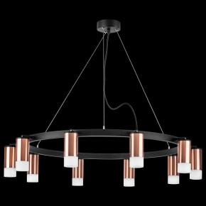 Подвесная люстра Lightstar Rullo LR0203001 в Снежинске - snezhinsk.mebel24.online | фото 3