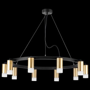 Подвесная люстра Lightstar Rullo LR0204001 в Снежинске - snezhinsk.mebel24.online | фото 3