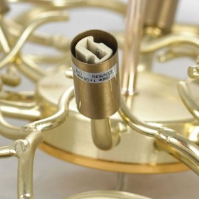 Подвесная люстра Lussole Adams LSP-8605 в Снежинске - snezhinsk.mebel24.online | фото 5