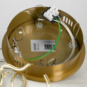 Подвесная люстра Lussole Adams LSP-8606 в Снежинске - snezhinsk.mebel24.online | фото 9