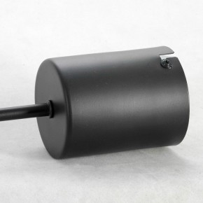 Подвесная люстра Lussole Duncan GRLSP-8252 в Снежинске - snezhinsk.mebel24.online | фото 4