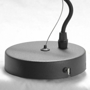 Подвесная люстра Lussole Huron LSP-8156 в Снежинске - snezhinsk.mebel24.online | фото 7