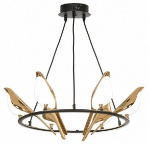 Подвесная люстра Lussole Jasper LSP-8641 в Снежинске - snezhinsk.mebel24.online | фото 4