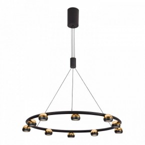 Подвесная люстра Lussole Lassen LSP-7253 в Снежинске - snezhinsk.mebel24.online | фото 2