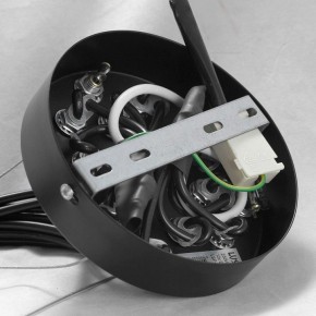 Подвесная люстра Lussole Seneca GRLSP-8177 в Снежинске - snezhinsk.mebel24.online | фото 10