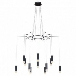 Подвесная люстра Maytoni Davida MOD035PL-12B в Снежинске - snezhinsk.mebel24.online | фото 2