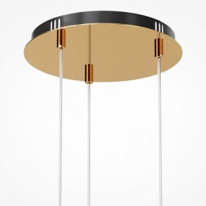 Подвесная люстра Maytoni Drop MOD273PL-L33G3K в Снежинске - snezhinsk.mebel24.online | фото 6