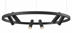 Подвесная люстра Maytoni Halo MOD102PL-L42BK в Снежинске - snezhinsk.mebel24.online | фото