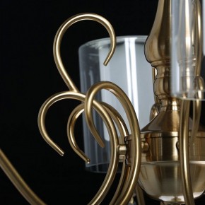 Подвесная люстра MW-Light Эллегия 8 303012708 в Снежинске - snezhinsk.mebel24.online | фото 7